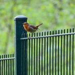 einfaches Zaunelement in grün mit Vogel